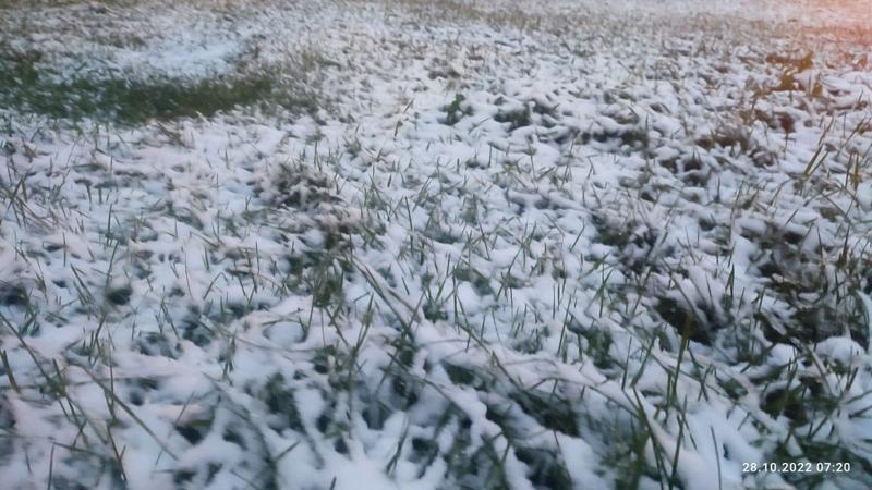 Снежок 1 выпавший ночью. Конец октября снег. Выпал первый снег. Маленький снегопад. Выпал снег в Воркуте 2022.