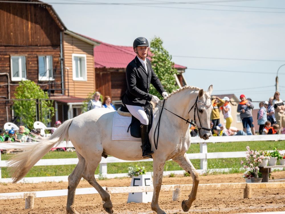 Equestrian Sports
