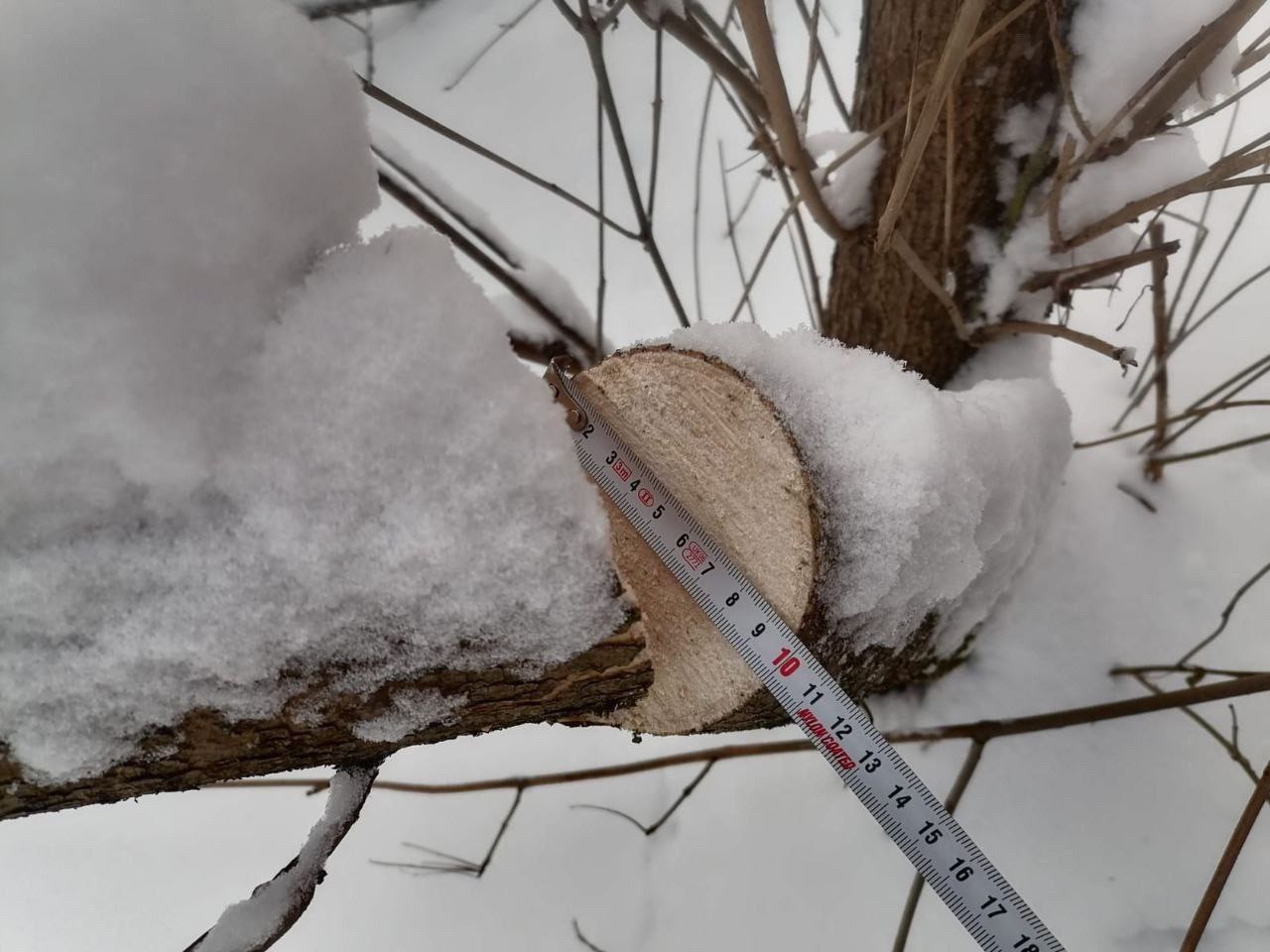 Мпр курск. Мпр курск. Мпр курск. Комитет природных ресурсов курской области константин поляков. Курск 3-я песковская ул.