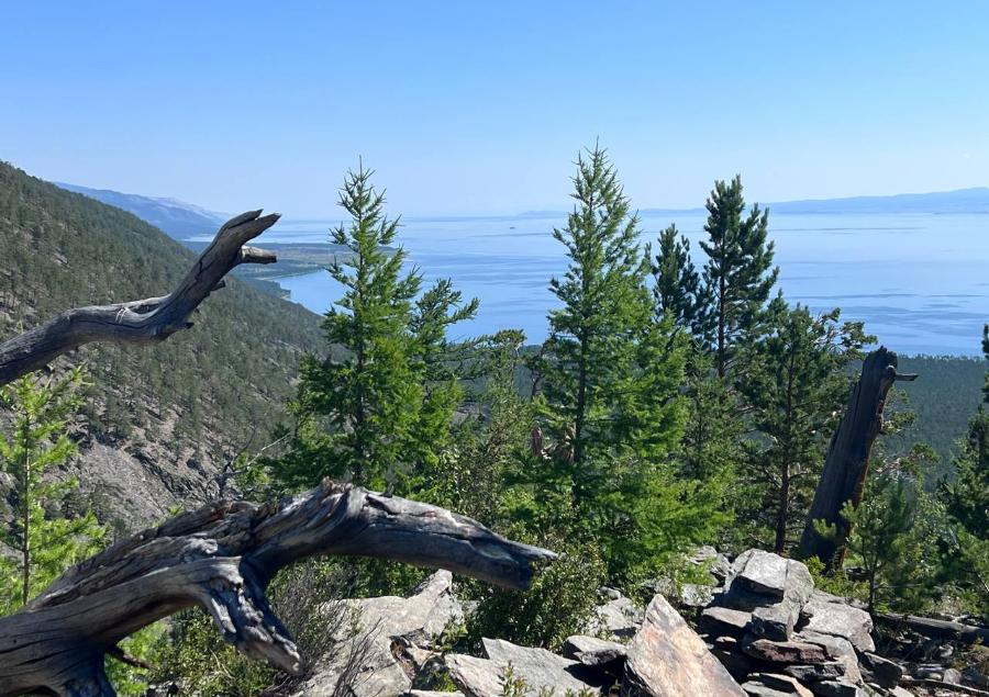 В городе на Неве открылась выставка «Бамовское содружество Санкт-Петербурга и Ленинградской области» | ФОТО Полины АКИМОВОЙ
