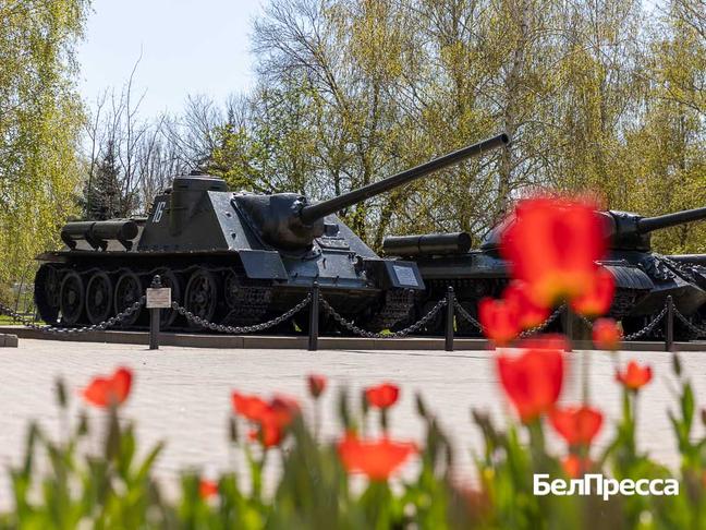 Как отдохнуть белгородцам 8–11 мая - Изображение 1