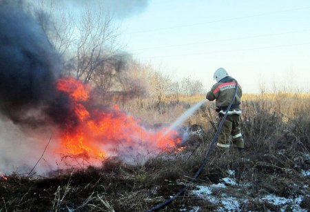 С начала года саратовские пожарные спасли свыше 800 человек 