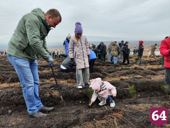 Осенью в Саратовской области высадят 3 миллиона сеянцев 