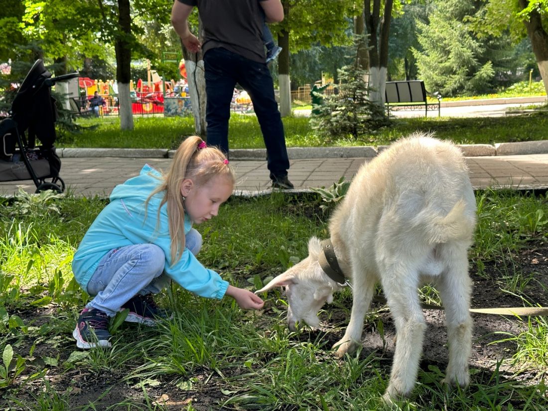 зоопарк три медведя карелия. мир юрского периода контактный зоопарк. животные зоопарка. зоомир. работники передвижного ленинаканского зоопарка.