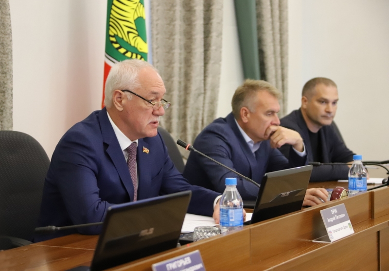 Депутаты проголосовали за приватизацию предприятия электрических сетей