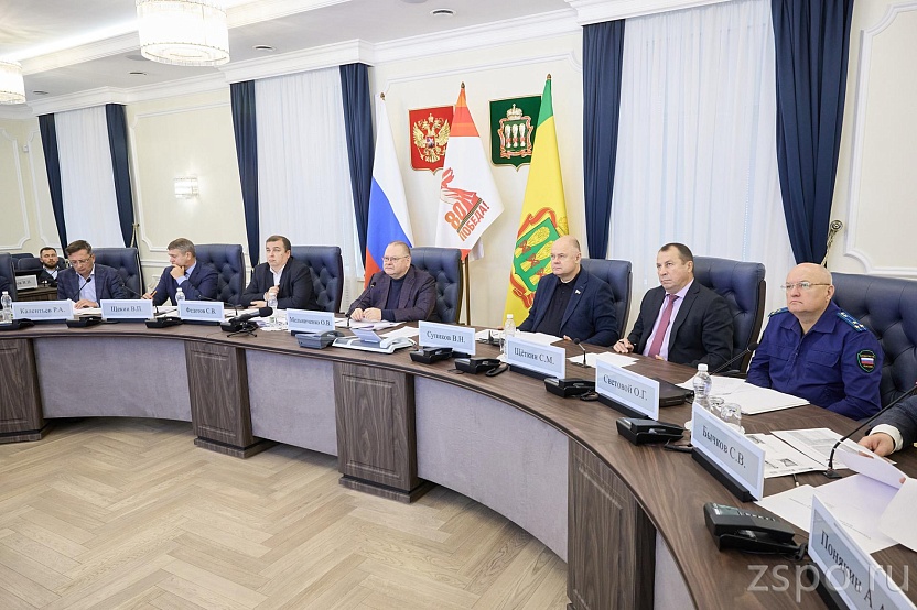 Вадим Супиков Законодательное Собрание Пензенской области