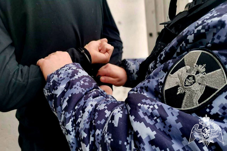 В Подмосковье сотрудники Росгвардии задержали подозреваемого в нанесении побоев женщине (видео)