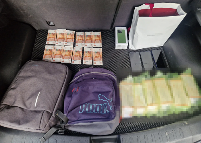  Курьера аферистов осудили в Челябинске за кражу 30 миллионов у пенсионерки