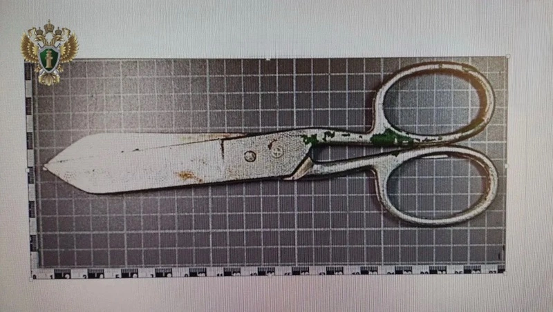 Жителя Минвод будут судить за убийство знакомого ножницами