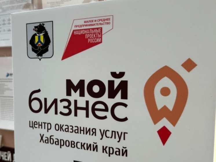 В Хабаровском крае принимают заявки от предпринимателей и самозанятых на услуги по продвижению бизнеса