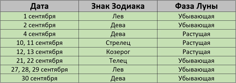 Благоприятные дни для стрижки на июль 2024 года Lifestyle Селдон Новости