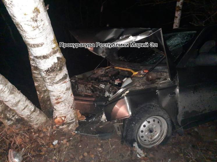 В Килемарском районе водитель погиб после наезда на дерево