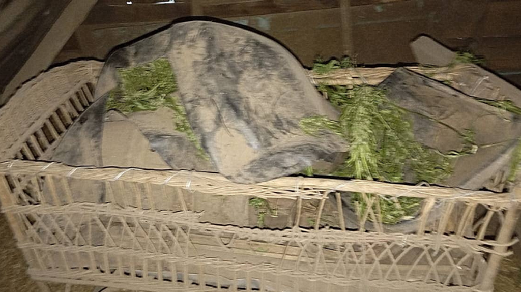 Полицейские по оперативной наводке задержали брянца за хранение конопли