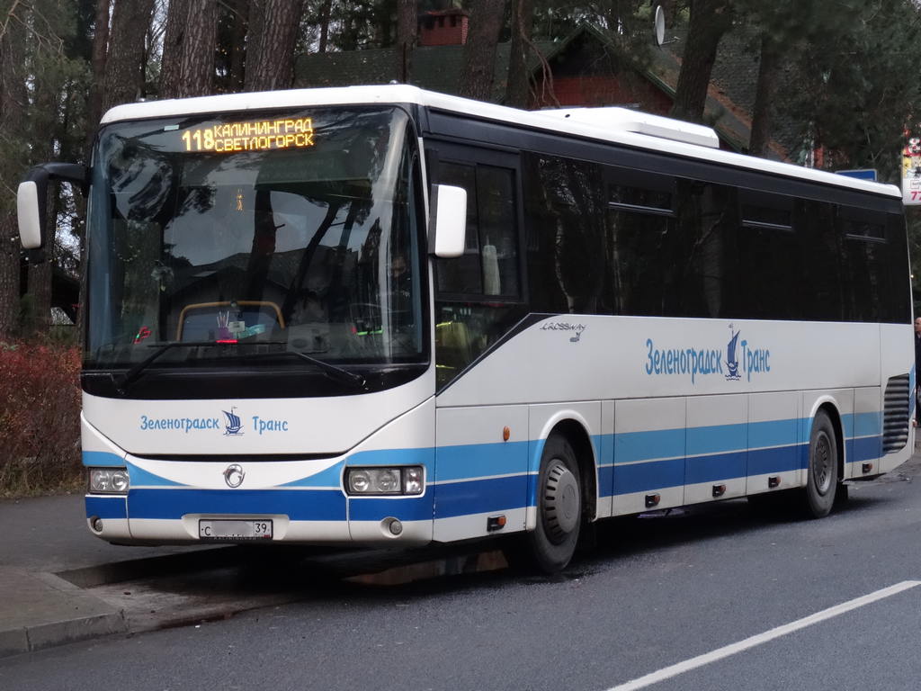 Автобус калининград светлогорск. Автобус 118 Калининград Светлогорск. Ночные автобусы. Русские автобусы. «Ночных городских автобусов»..