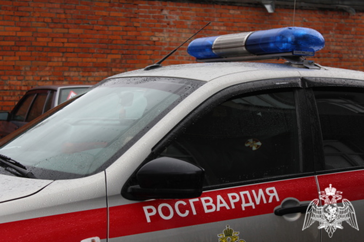 28 правонарушителей на территории Вологодской области задержали сотрудники вневедомственной охраны Росгвардии за минувшую неделю