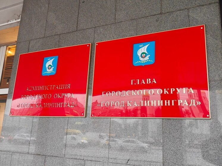 Елена Дятлова отчитается о своей работе за год 13 мая