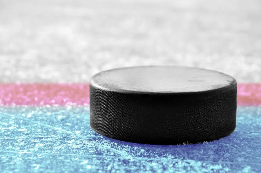 В полуфинале Женской хоккейной лиги «Динамо-Нева» сыграет с «Агиделью» из Уфы | ФОТО Volrab on Shutterstock