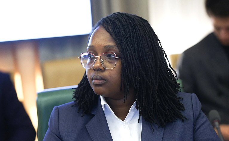 Встреча председателя Комитета СФ по международным делам Григория Карасина с заместителем Председателя Сената Республики Кения Катури Мурунги