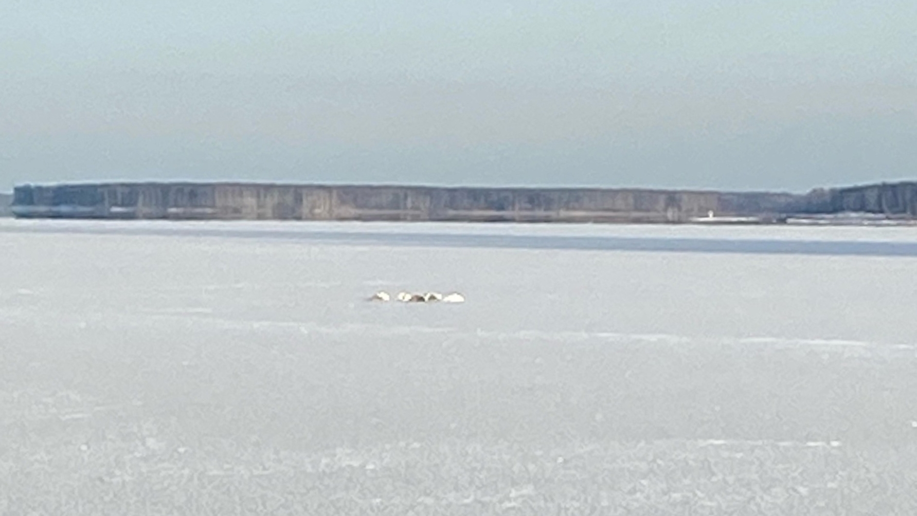 Фото: Подслушано Чайковский/VK