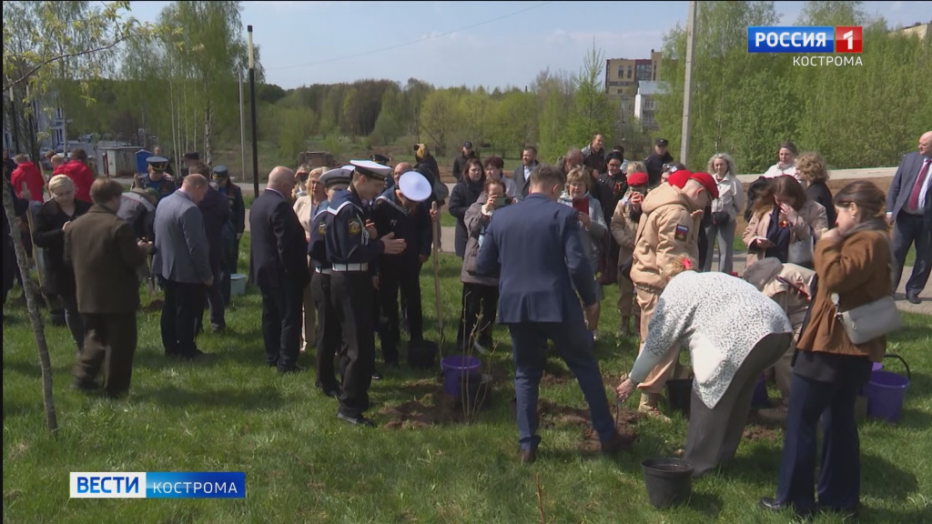 сад памяти.mp4_snapshot_00.33.334.jpg