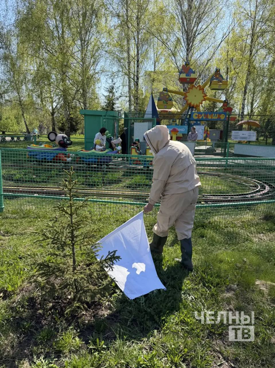 В Челнах начали противоклещевую обработку парков и скверов