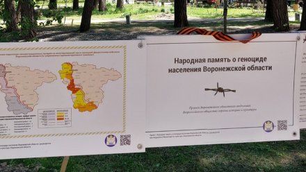 В Центральном парке Воронежа прошла выставка в память о жертвах геноцида в регионе