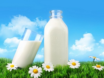 Кировские аграрии надоят более 800 тыс. т молока
