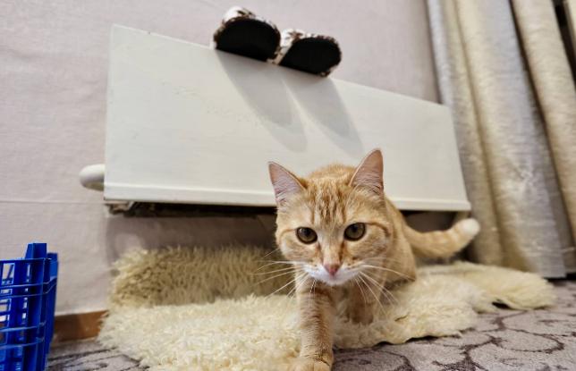 Почему случаются задержки с подачей тепла в Челябинске