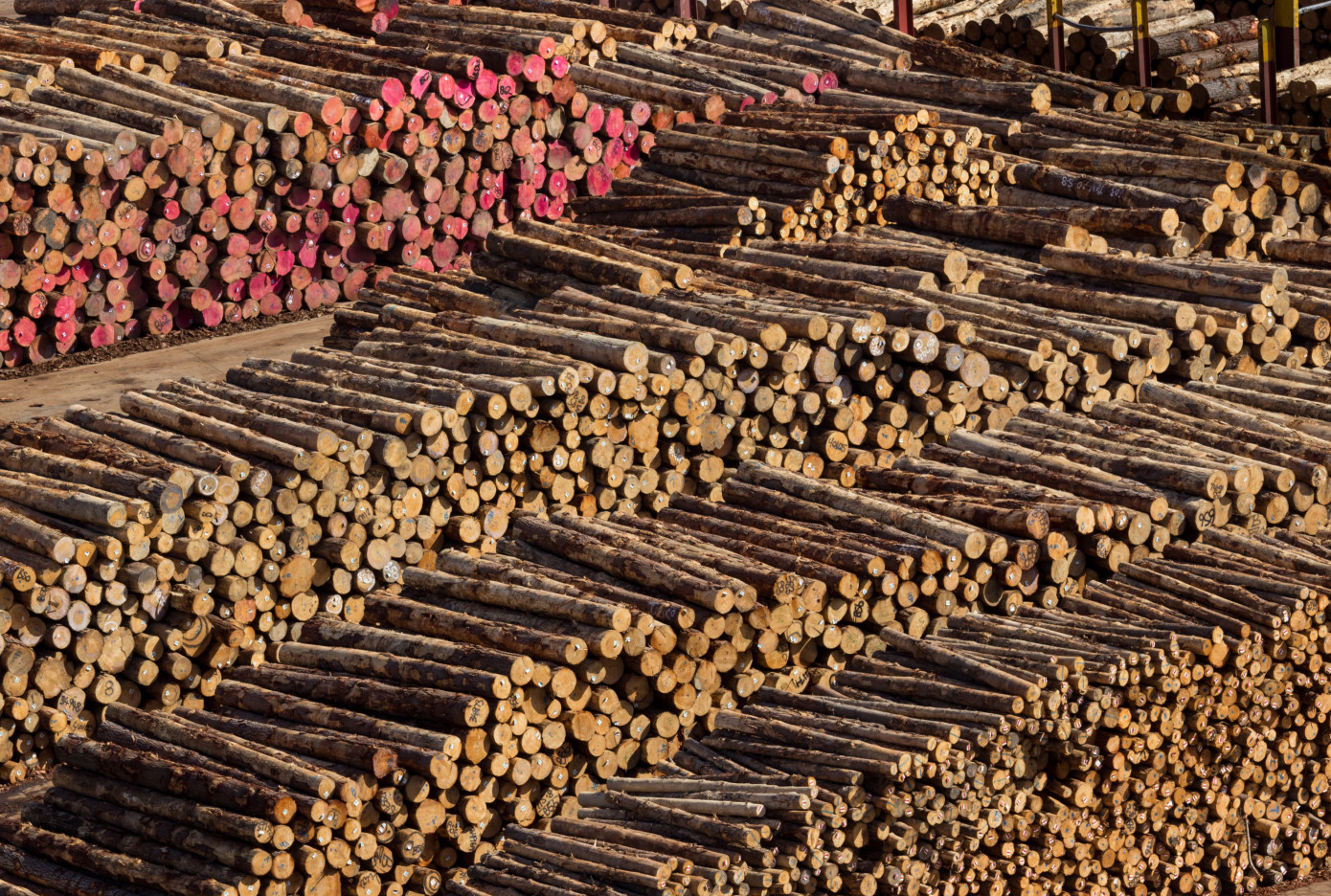 Export logs