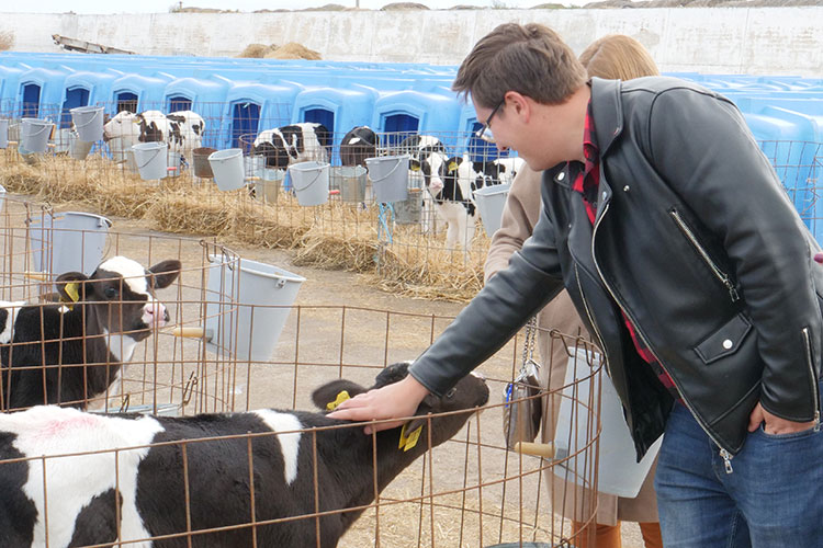 «Красный Восток» по-прежнему №1 в Татарстане по молоку — по итогам 2024 года валовой надой составил 120,7 тыс. тонн