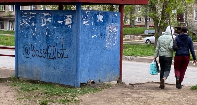 В Кирово-Чепецке известно новое расписание автобусных маршрутов 113 и ...