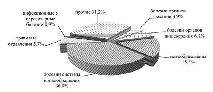 26д.jpg