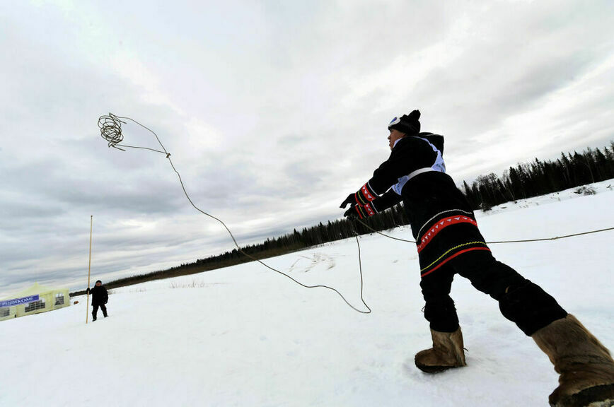 стойбище оленеводов салехард. шест для нарт. якорь для собачьей упряжки. шест для управления оленьей упряжкой. шест для нарт.