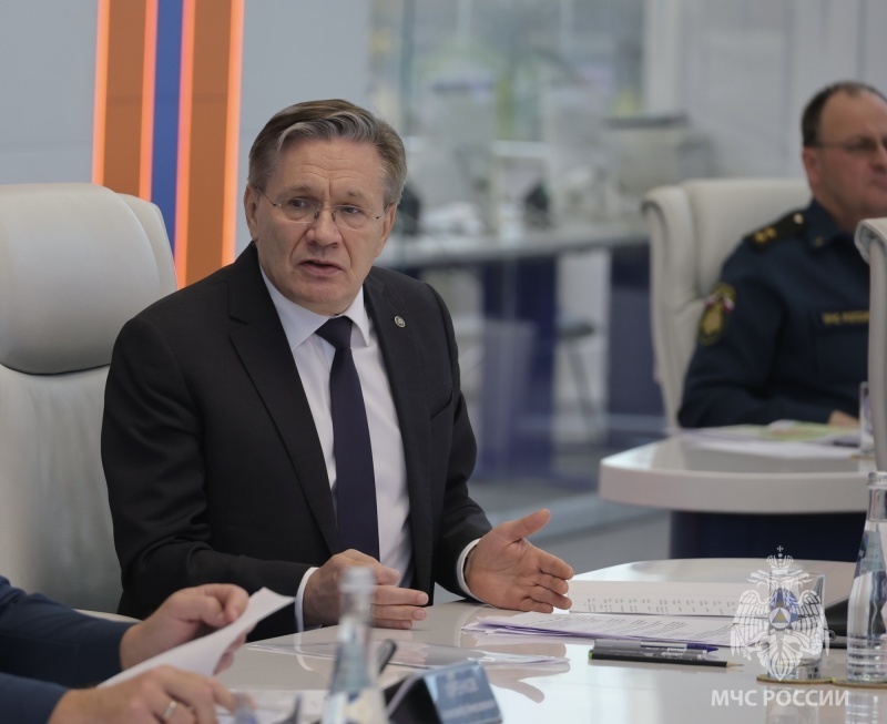 МЧС России и Минприроды поддерживают создание 100-метровых противопожарных полос между зданиями и лесными насаждениями