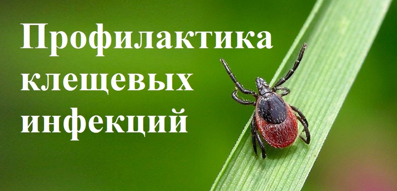 Картинки по клещам