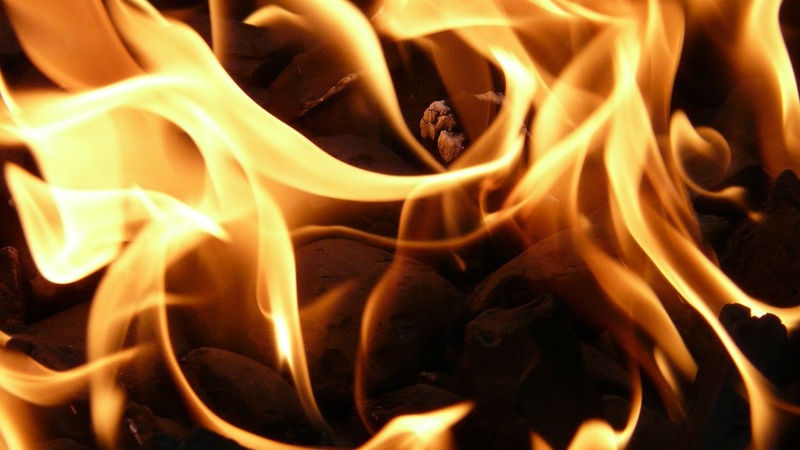 Пожар уничтожил гостиницу с домами на деревьях в городе Олимпос в Анталье