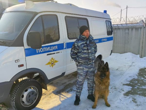 В Чите полицейская собака помогла раскрыть кражу