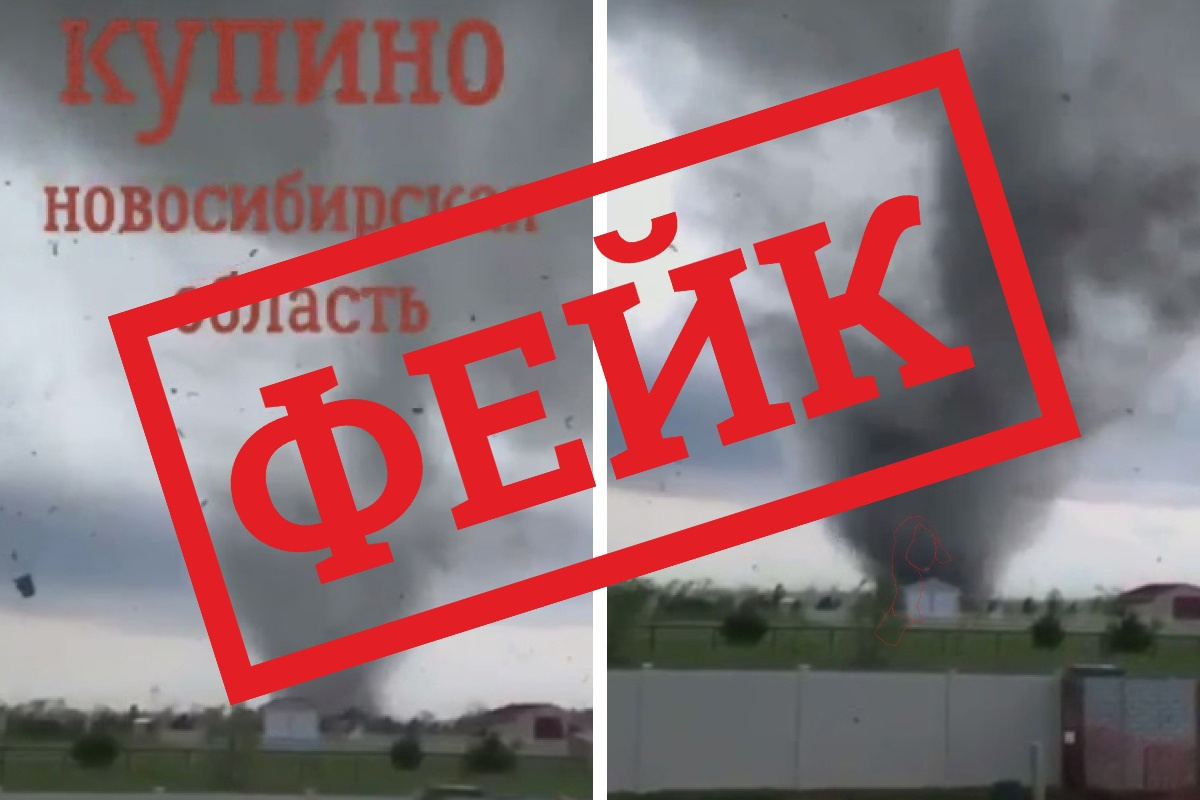 Спортсмены г Купино Новосибирская область