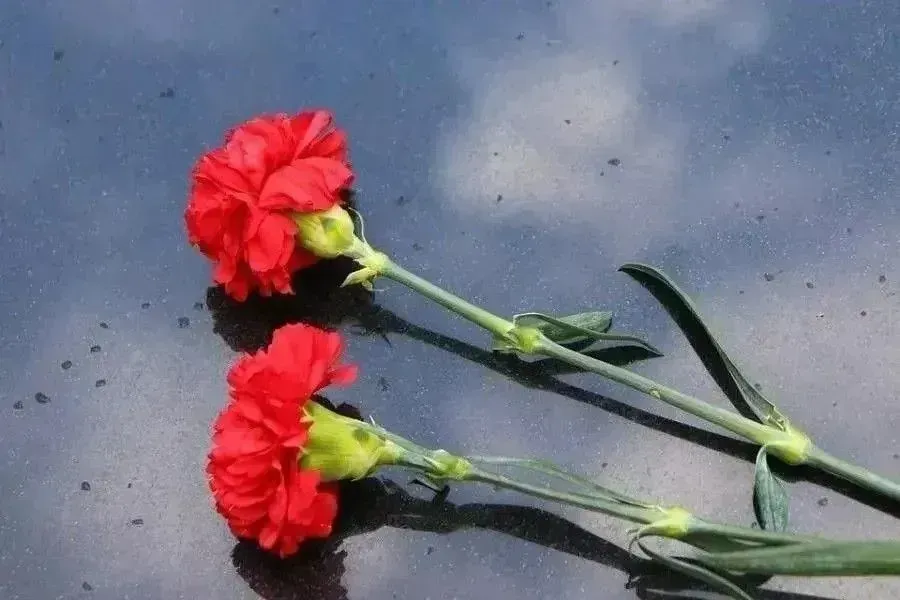 Капсула с землёй, собранной на Невском пятачке, отправится в Республику Марий Эл | ФОТО Pixabay