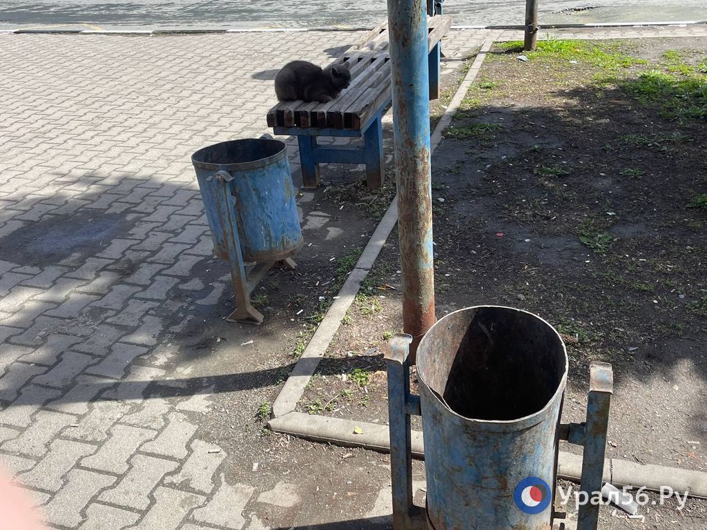 Как выглядят улицы Орска в преддверии Дня Победы? Фоторепортаж Урал56.Ру