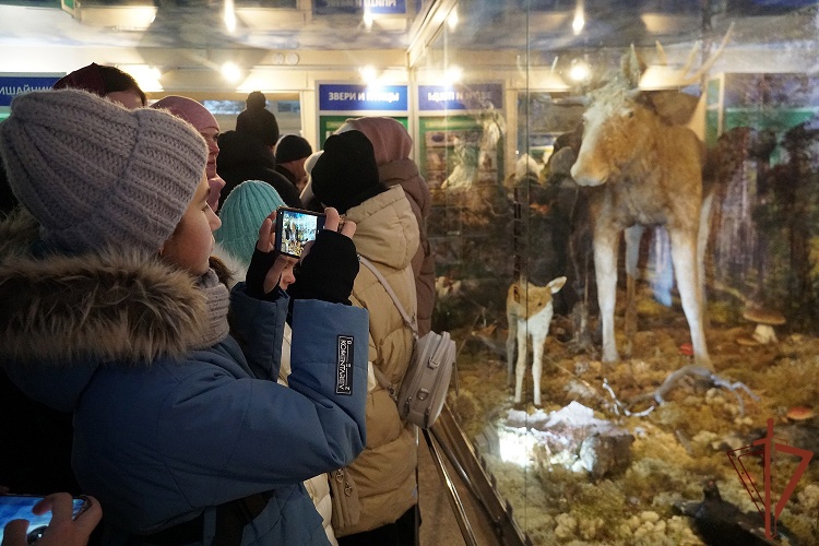 Дети участников СВО познакомились с карельским Дедом Морозом при поддержке Росгвардии