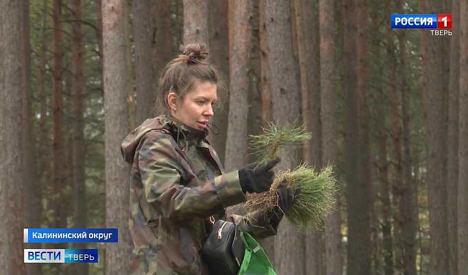 «Лес сажать, Родину любить»: в Тверской области проходит акция «Сад памяти»