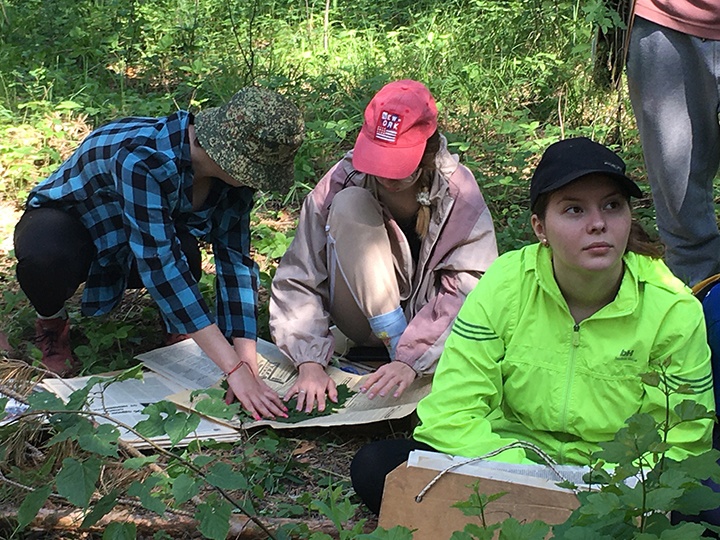 Практика для туризма студентов. Производственная практика туризм. Практика для туризма студентов. Практика для туризма студентов. Практика для туризма студентов.