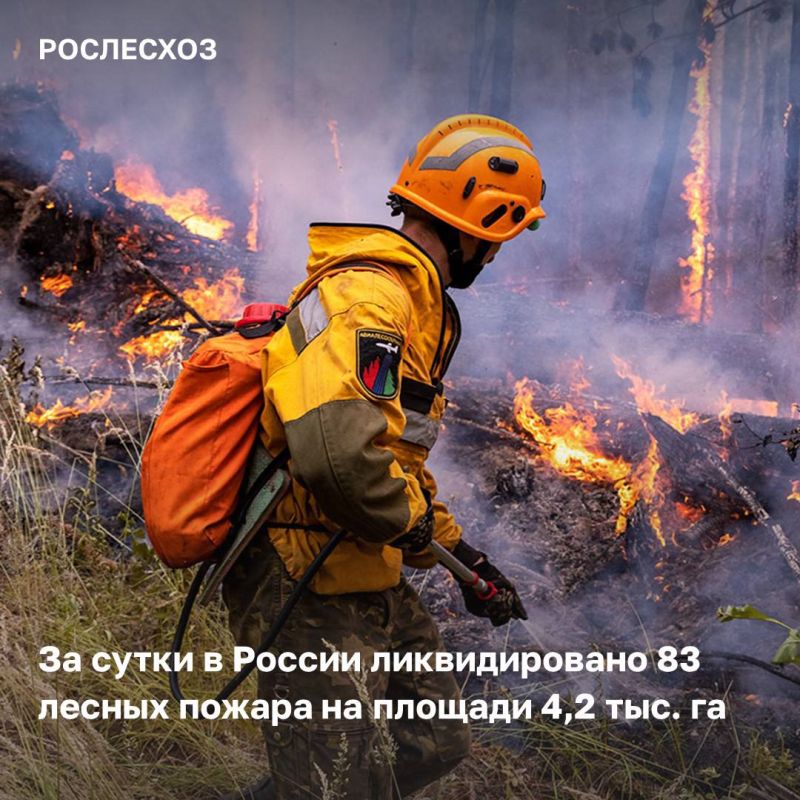 На сегодняшний день наиболее напряженная лесопожарная обстановка наблюдается на Дальнем Востоке России
