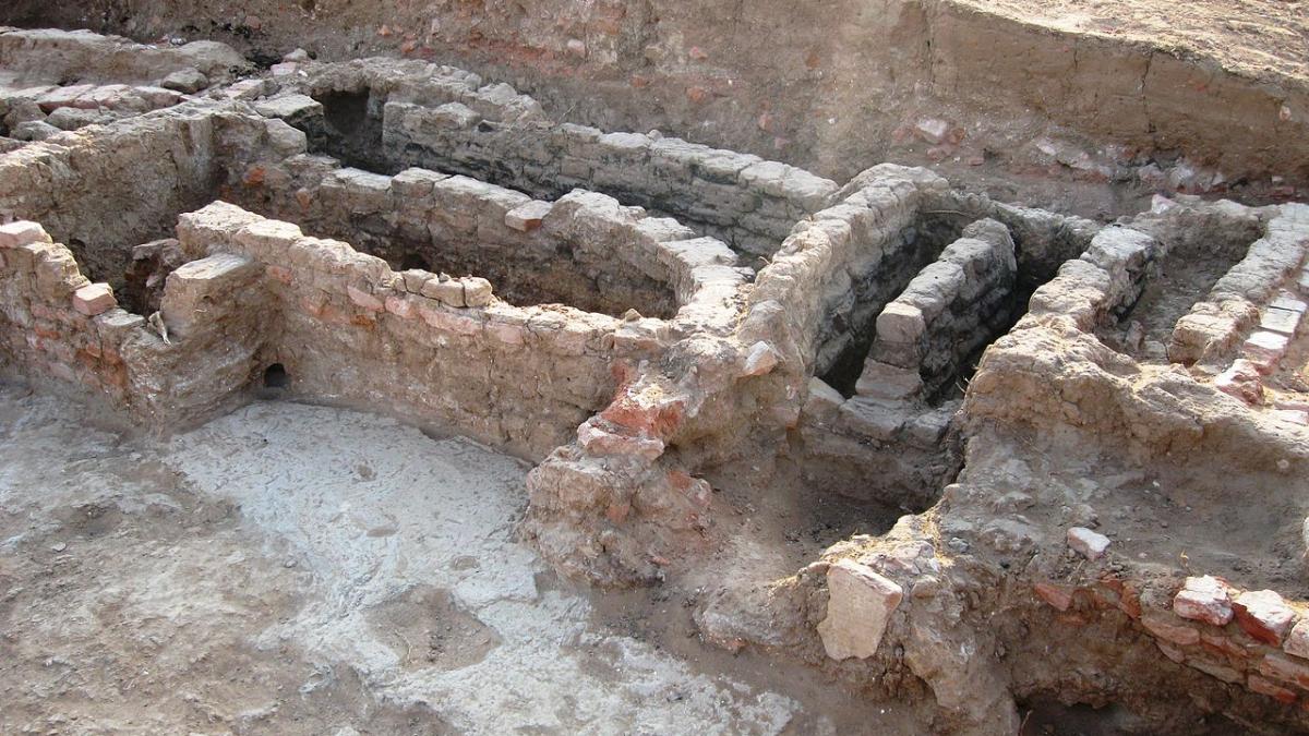 археологические раскопки