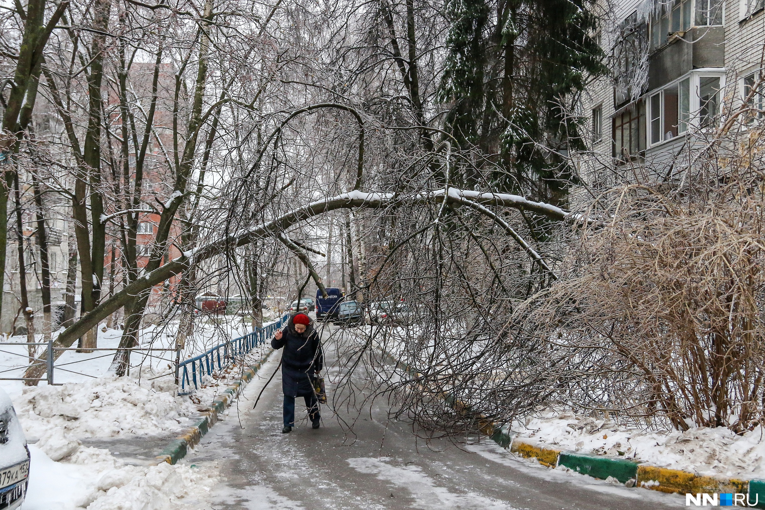 Нижегородская сегодня погода. Ледяной дождь. Ноябрь в городе. Ледяной дождь Нижний Новгород.