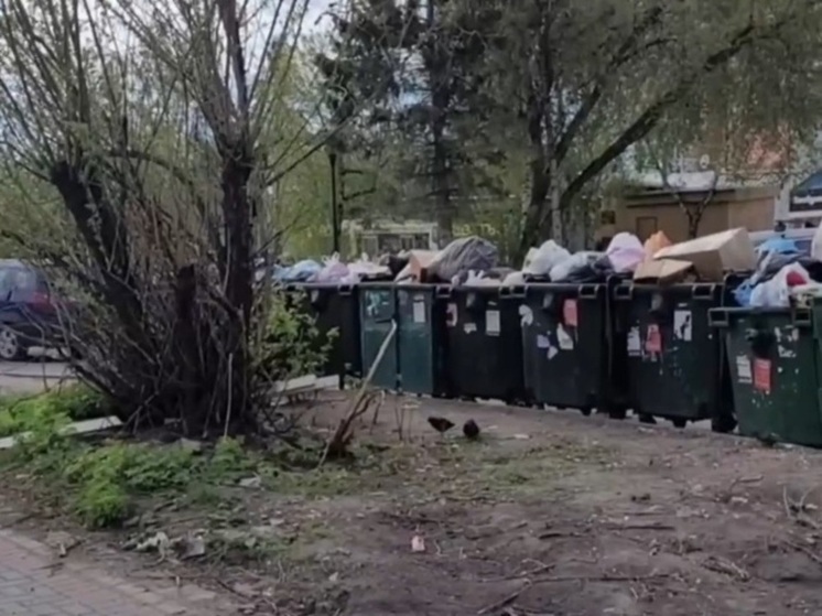 Мэр Томска поручил убрать мусор с газонов в районе Южной