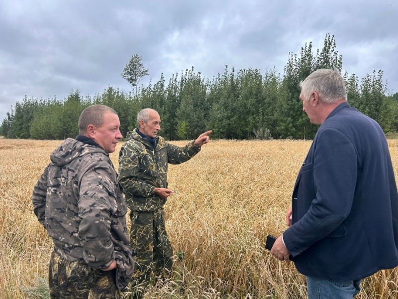 В Томской области посевы сильно пострадали от дождей