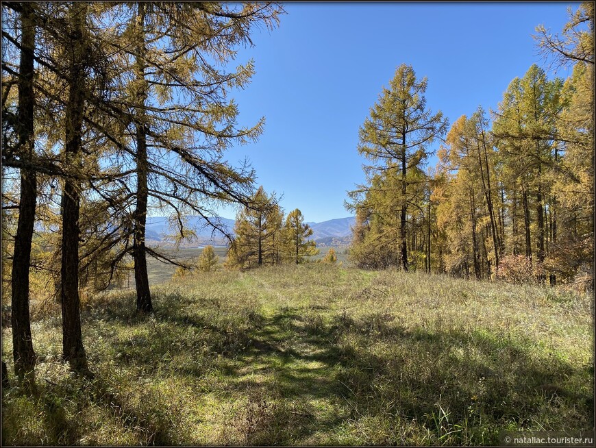 «Осенние краски Уймонской долины». Прощальный день: на гору Маяк с закрытыми глазами, посиделки на берегу Катуни и у костра в ночи 