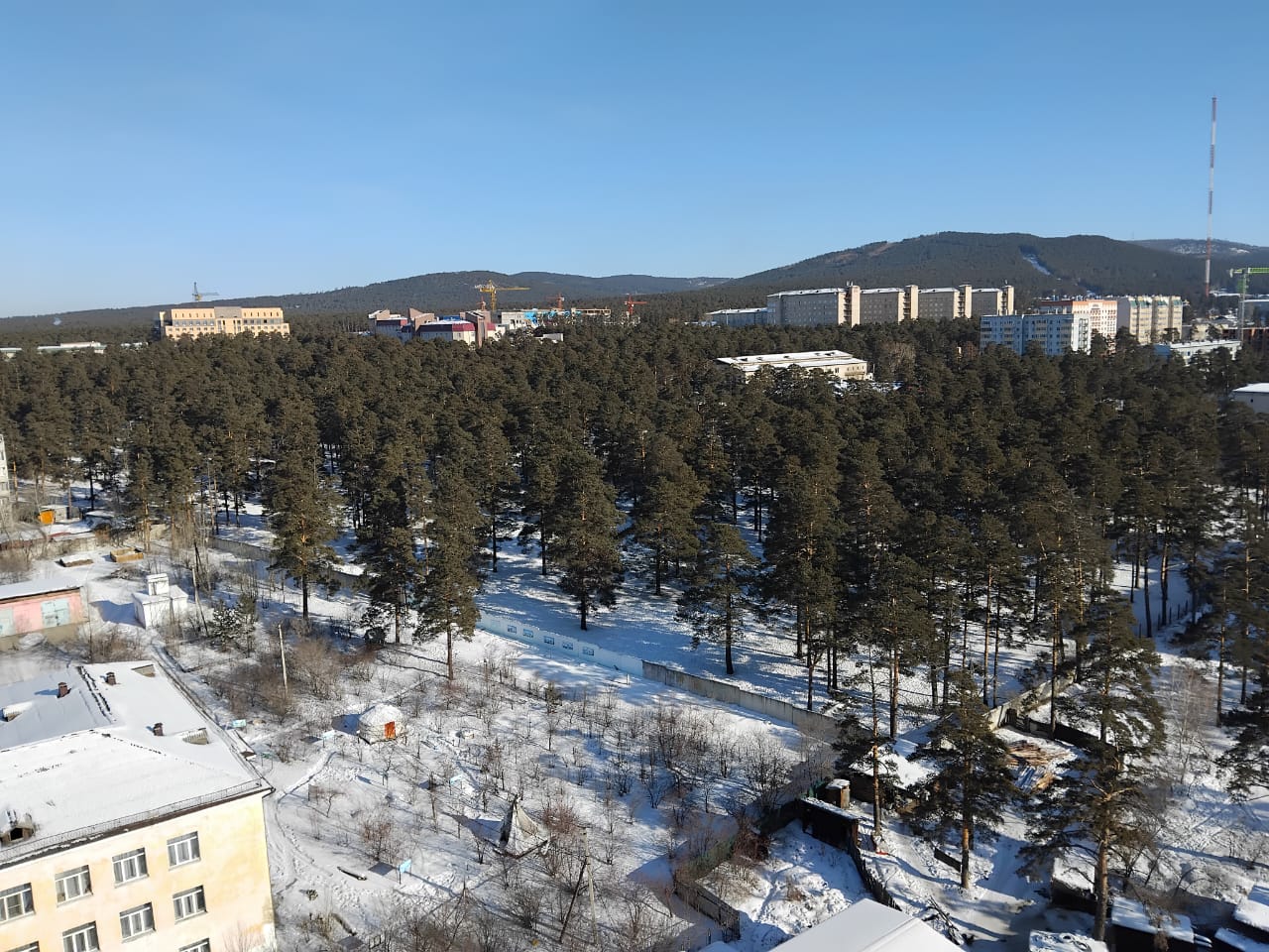 Лес на Таежной всё-таки спилят?